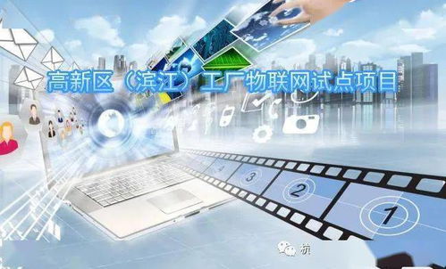 關于征集2021年度高新區(qū)濱江工廠物聯(lián)網(wǎng)試點項目的通知